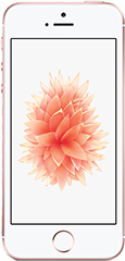 iPhone 6